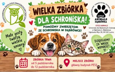 SZKOLNA ZBIÓRKA DLA SCHRONISKA OTOZ ANIMALS W DĄBRÓWCE