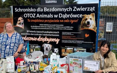 ZBIÓRKA NA RZECZ SCHRONISKA